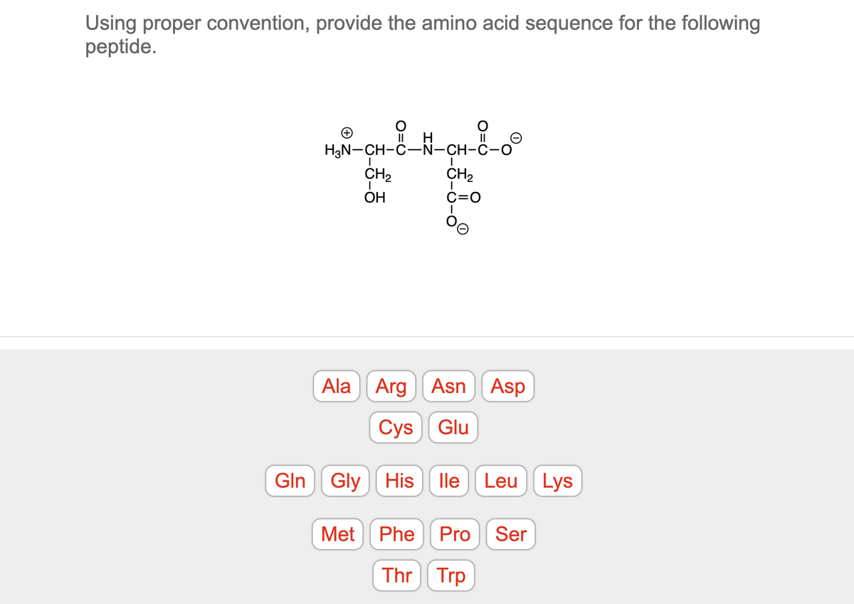 Using proper convention, provide the amino acid sequence for the following
peptide.
(+)
#-CH-8
H3N-CH-C-N-CH-C-O
CH₂
C=O
O=C
CH₂
OH
Met
Ala Arg Asn Asp
Cys Glu
Gln Gly His lle Leu Lys
Phe Pro Ser
Thr
Trp
