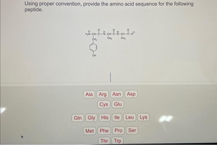 Using proper convention, provide the amino acid sequence for the following
peptide.
H₂N-CH-C-N-CH-C-
CH₂
OH
CH₂
CH₂
Ala Arg Asn Asp
Cys Glu
Gln Gly His lle Leu Lys
Met Phe Pro Ser
Thr
Trp