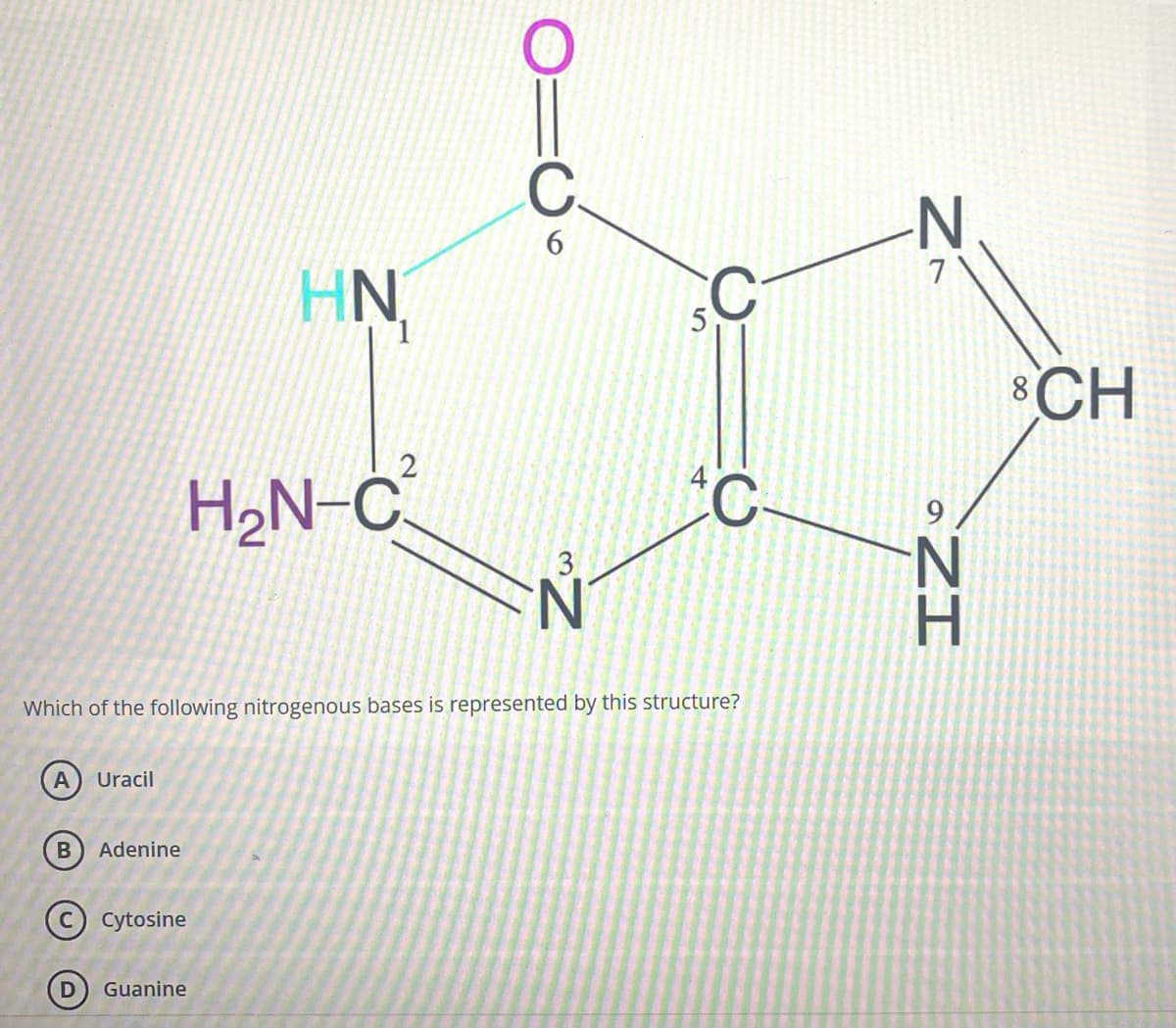 A Uracil
B Adenine
HN
Cytosine
Guanine
2
H₂N-C
6
3
N
Which of the following nitrogenous bases is represented by this structure?
5
C
C
N
7
IZⓇ
8 CH