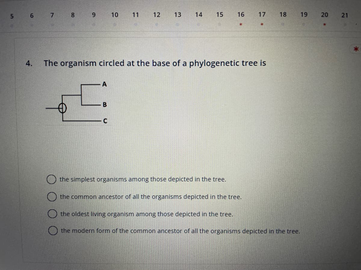 5 6
7
8
9
A
B
10
C
11
12 13 14
15
16
4. The organism circled at the base of a phylogenetic tree is
17
*
18
the simplest organisms among those depicted in the tree.
the common ancestor of all the organisms depicted in the tree.
the oldest living organism among those depicted in the tree.
the modern form of the common ancestor of all the organisms depicted in the tree.
19
20
*
21
*