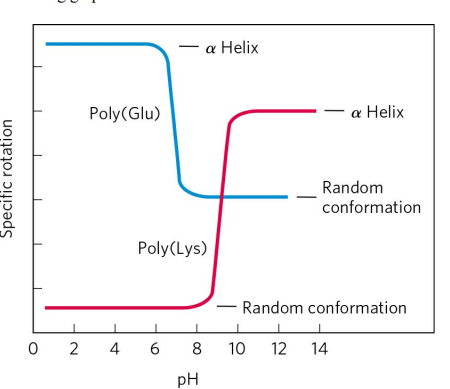 -α Helix
Poly(Glu)
-α Helix
Random
conformation
Poly(Lys)
Random conformation
0 2
4
8
10
12 14
pH
Specific rotation
6.
