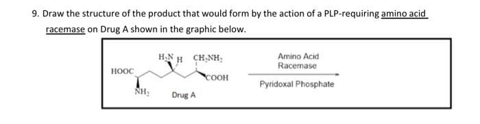 9. Draw the structure of the product that would form by the action of a PLP-requiring amino acid
racemase on Drug A shown in the graphic below.
НООС
NH₂
H₂N
CHÍNH:
Drug A
COOH
Amino Acid
Racemase
Pyridoxal Phosphate