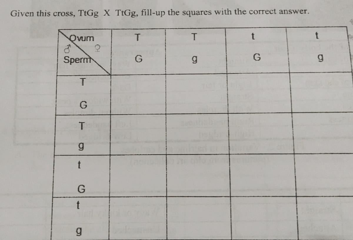 Given this cross, TtGg X TtGg, fill-up the squares with the correct answer.
Ovum
T
T
t
3
Sperm
G
g
g
T
G
T
g
t
G
t
g
?
G