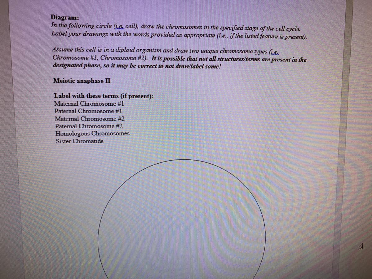 Diagram:
In the following circle (ie. cell), draw the chromosomes in the specified stage of the cell cycle.
Label your drawings with the words provided as appropriate (i.e., if the listed feature is present).
Assume this cell is in a diploid organism and draw two unique chromosome types (ie.
Chromosome #1, Chromosome #2). It is possible that not all structures/terms are present in the
designated phase, so it may be correct to not draw/label some!
Meiotic anaphase II
Label with these terms (if present):
Maternal Chromosome #1
Paternal Chromosome #1
Maternal Chromosome #2
Paternal Chromosome #2
Homologous Chromosomes
Sister Chromatids
