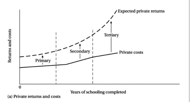 Expected private returns
Tertiary
Secondary
Private costs
Primary
Years of schooling completed
(a) Private returns and costs
Returns and costs
