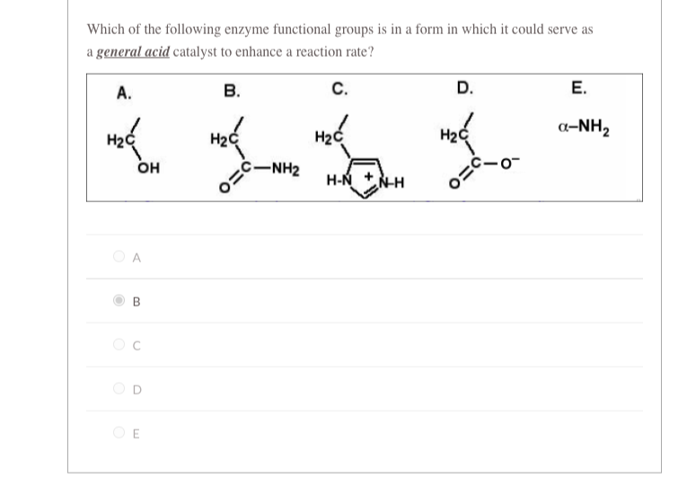 Which of the following enzyme functional groups is in a form in which it could serve as
a general acid catalyst to enhance a reaction rate?
B.
A.
H₂C
OH
B
C
O
OE
-NH2
C.
H₂C
H-NN-H
D.
H₂C
·0™
E.
α-NH₂