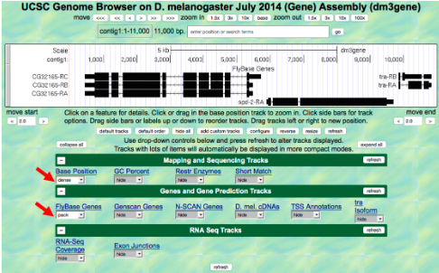 UCSC Genome Browser on D. melanogaster July 2014 (Gene) Assembly (dm3gene)
move ODD C zoom in 1 x Dane zoom out 1 N 100K
contigt:1-11,000 11,000 bp. postion or ch
Scale
5 ib
dm3gene
cartigt:
1,000
2000l
400
10.00
Fybase Genes
Cas2165-RC
reRA
CG32165-RA
aps-2-RA
Click on a feature for details. Click or drag in the base position track to zoom in. Click side bars for track
options. Drag side bars or labels up or down to reorder traca. Drag tracks loft or right to new position.
defauit tacks autorde de a de cutom mce contgare ena e te
Use drop-down controls below and press refresh to alter tracks displayed.
Tracks with lots of items will automaticaly be displayed in more compact modes.
move start
move end
end a
Mapping and Sequencing Tracks
Base Poaltion
GC Percent
Restr Enuymes
Short Match
Genes and Gene Prediction Tracks
FlyBase Genes
pek
Genscan Gones
N-SCAN Genes
D. mel, cONAS
tra
Isoform
TSS Annotations
RNA Seg Tracks
etesh
RNA-Seg
Coverage
de
Exon Junotons
