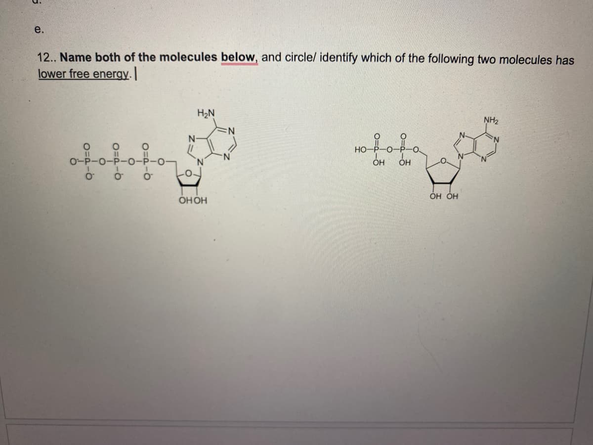 e.
12.. Name both of the molecules below, and circle/ identify which of the following two molecules has
lower free energy. I
0-
O
O
O
O
-P-O
O™
N
H₂N
OH OH
no fofo
HO-
O-
OH OH
NH₂
N
S
N
OH OH