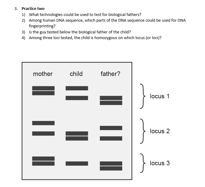 3. Practice two
1) What technologies could be used to test for biological fathers?
2) Among human DNA sequence, which parts of the DNA sequence could be used for DNA
fingerprinting?
3) Is the guy tested below the biological father of the child?
4) Among three loci tested, the child is homozygous on which locus (or loci)?
mother
child
father?
locus 1
}
locus 2
}
locus 3
||
II
