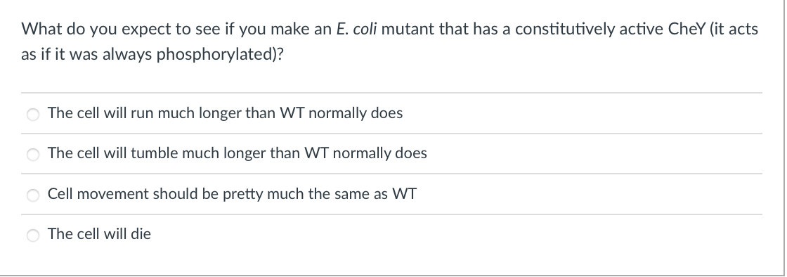 What do you expect to see if you make an E. coli mutant that has a constitutively active Chey (it acts
as if it was always phosphorylated)?
The cell will run much longer than WT normally does
O The cell will tumble much longer than WT normally does
O Cell movement should be pretty much the same as WT
O The cell will die