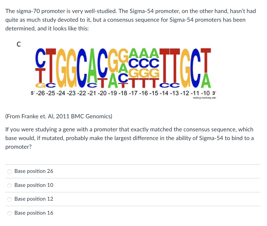 The sigma-70 promoter is very well-studied. The Sigma-54 promoter, on the other hand, hasn't had
quite as much study devoted to it, but a consensus sequence for Sigma-54 promoters has been
determined, and it looks like this:
C
GAAA
FICGCACTECT
УА
C
5-26-25-24 -23 -22 -21 -20 -19 -18 -17 -16-15-14-13-12-11 -10 3
wablogo berkalay.edu
(From Franke et. Al, 2011 BMC Genomics)
If you were studying a gene with a promoter that exactly matched the consensus sequence, which
base would, if mutated, probably make the largest difference in the ability of Sigma-54 to bind to a
promoter?
O Base position 26
Base position 10
Base position 12
Base position 16