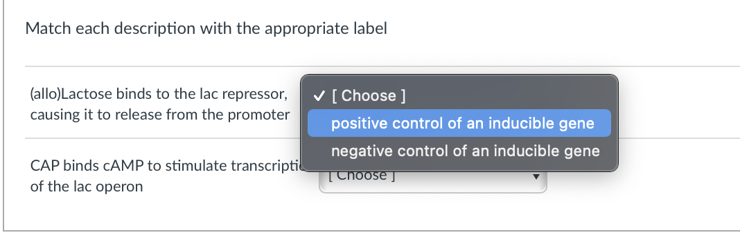 Match each description with the appropriate label
(allo)Lactose binds to the lac repressor,
causing it to release from the promoter
CAP binds CAMP to stimulate transcripti
of the lac operon
✓ [Choose ]
positive control of an inducible gene
negative control of an inducible gene
[Choose]