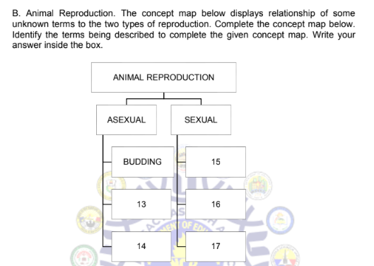 B. Animal Reproduction. The concept map below displays relationship of some
unknown terms to the two types of reproduction. Complete the concept map below.
Identify the terms being described to complete the given concept map. Write your
answer inside the box.
ANIMAL REPRODUCTION
ASEXUAL
SEXUAL
BUDDING
15
13
16
14
17
