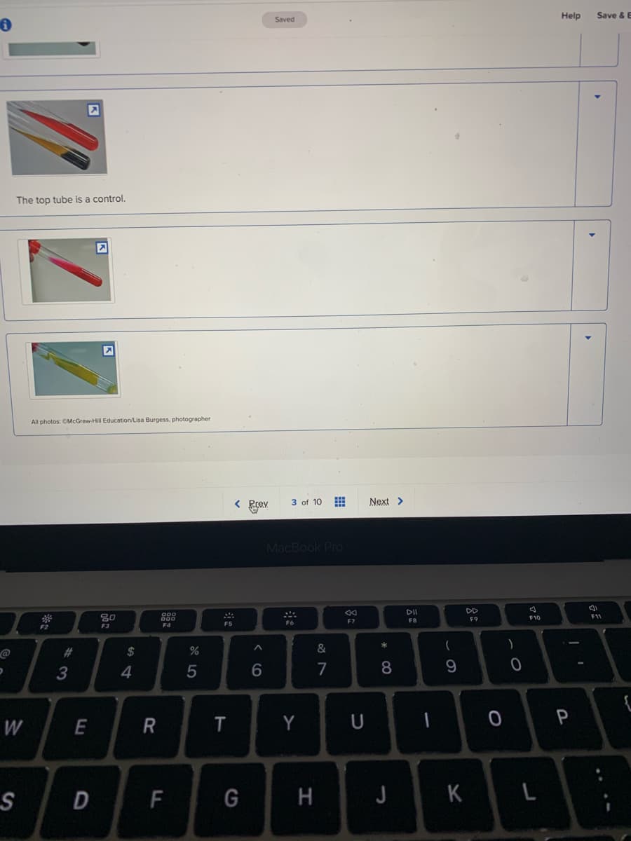 Help
Save & E
Saved
The top tube is a control.
All photos: CMcGraw-Hill Education/Lisa Burgess, photographer
< Prev
3 of 10 E
Next >
MacBook Pro
DI
DD
80
F3
11
F10
F7
FB
F2
F4
)
#3
24
%
&
3
4
7
8
W
E
Y
U
P
F
G
J
K
* CO
