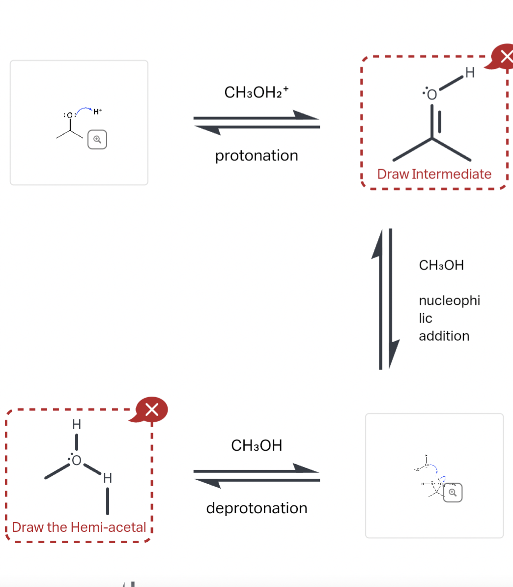 0:
H+
CH3OH2+
H
Q
protonation
Draw Intermediate
'H
Х
■ Draw the Hemi-acetal
I
CH3OH
deprotonation
CH3OH
nucleophi
lic
addition