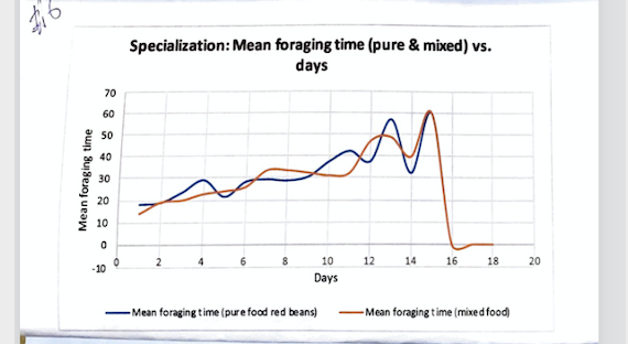 Specialization: Mean foraging time (pure & mixed) vs.
days
70
60
50
40
30
20
10
4
10
12
14
16
18
20
-10
Days
Mean foraging t ime (pure food red beans)
Mean foraging time (mixed food)
Mean foraging time
