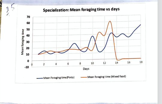 Specialization: Mean foraging time vs days
70
60
50
40
30
20
10
6.
10
12
14
16
18
4
-10
Days
Mean Foraging time (Pinto)
Mean foraging time (Mixed food)
Mean foraging time
