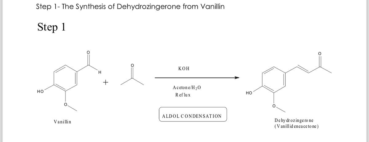 Step 1- The Synthesis of Dehydrozingerone from Vanillin
Step 1
HO
Vanillin
H
+
KOH
Acetone/H₂O
Reflux
ALDOL CONDENSATION
HO
fre
Dehydrozingero ne
(Vanillid enea ce to ne)