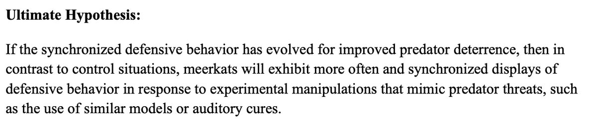 Ultimate Hypothesis:
If the synchronized defensive behavior has evolved for improved predator deterrence, then in
contrast to control situations, meerkats will exhibit more often and synchronized displays of
defensive behavior in response to experimental manipulations that mimic predator threats, such
as the use of similar models or auditory cures.