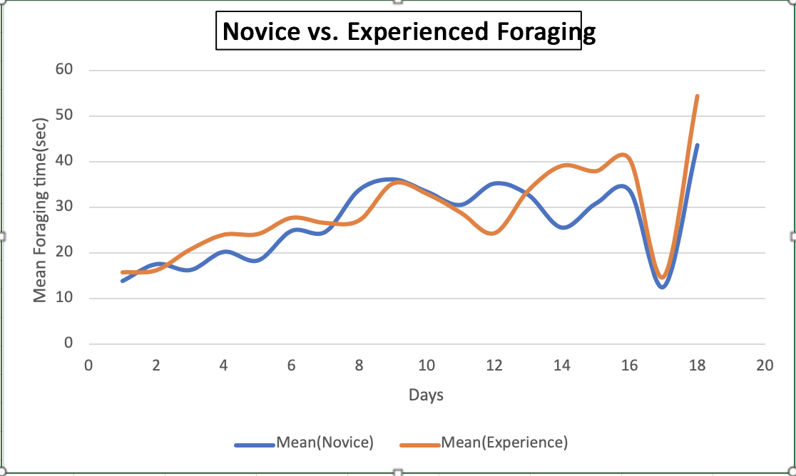 Novice vs. Experienced Foraging
60
50
40
30
20
10
4
6
10
12
14
16
18
20
Days
Mean(Novice)
Mean(Experience)
Mean Foraging time(sec)
