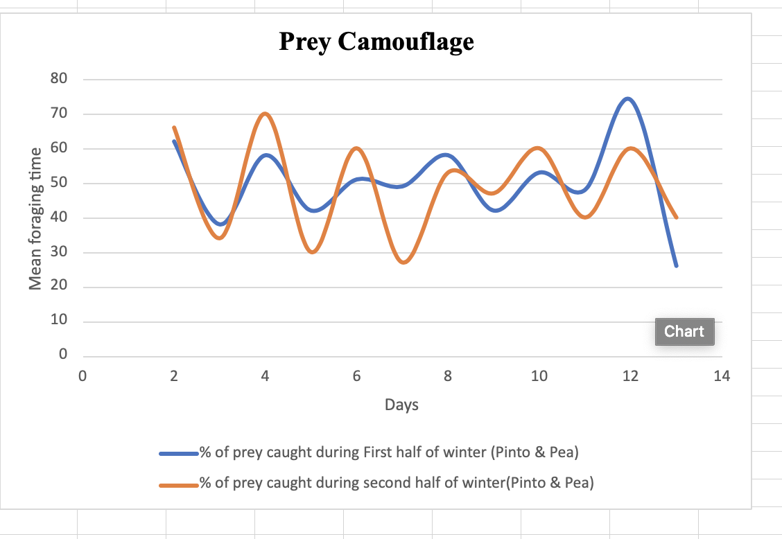 Prey Camouflage
80
70
60
50
40
30
E 20
10
Chart
2
4
6.
8.
10
12
14
Days
% of prey caught during First half of winter (Pinto & Pea)
% of prey caught during second half of winter(Pinto & Pea)
Mean foraging time
