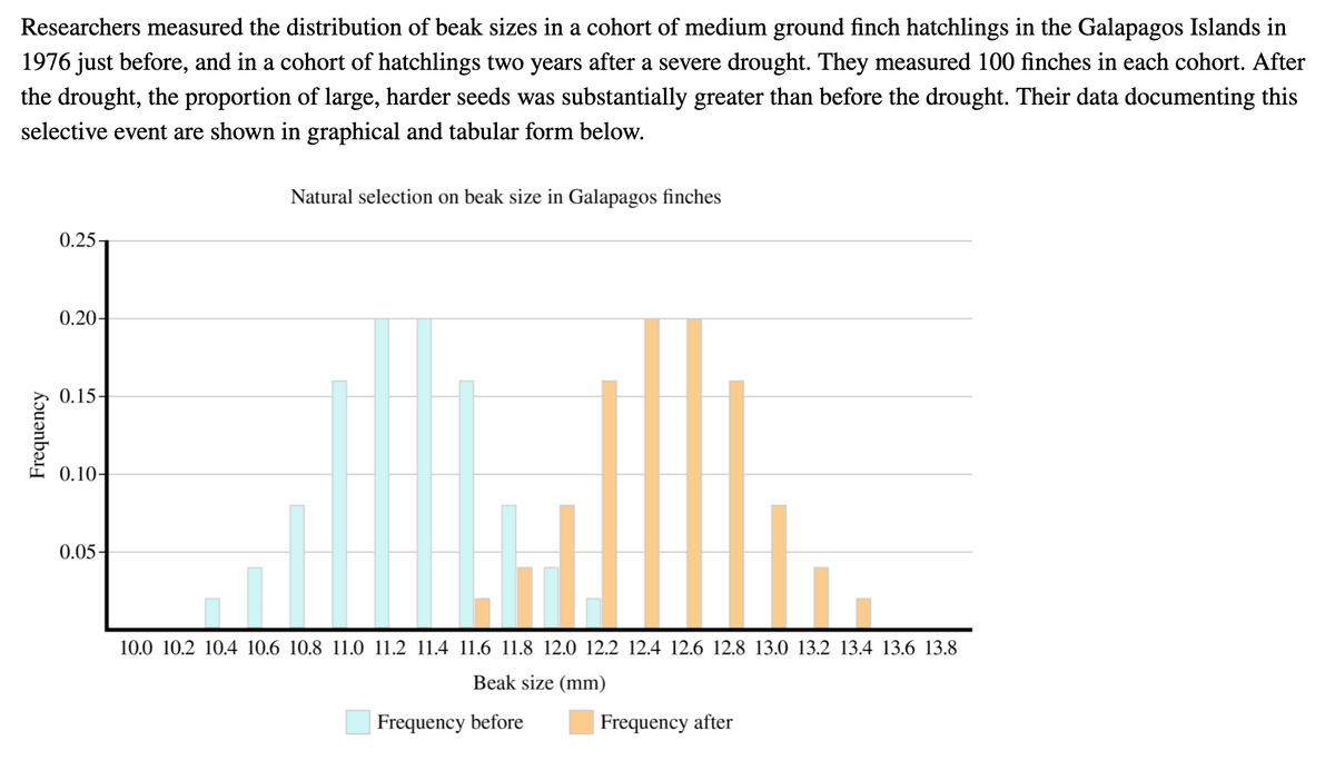 Researchers measured the distribution of beak sizes in a cohort of medium ground finch hatchlings in the Galapagos Islands in
1976 just before, and in a cohort of hatchlings two years after a severe drought. They measured 100 finches in each cohort. After
the drought, the proportion of large, harder seeds was substantially greater than before the drought. Their data documenting this
selective event are shown in graphical and tabular form below.
Natural selection on beak size in Galapagos finches
0.25-
0.20-
0.15-
0.10-
0.05-
10.0 10.2 10.4 10.6 10.8 11.0 11.2 11.4 11.6 11.8 12.0 12.2 12.4 12.6 12.8 13.0 13.2 13.4 13.6 13.8
Beak size (mm)
Frequency before
Frequency after
Frequency
