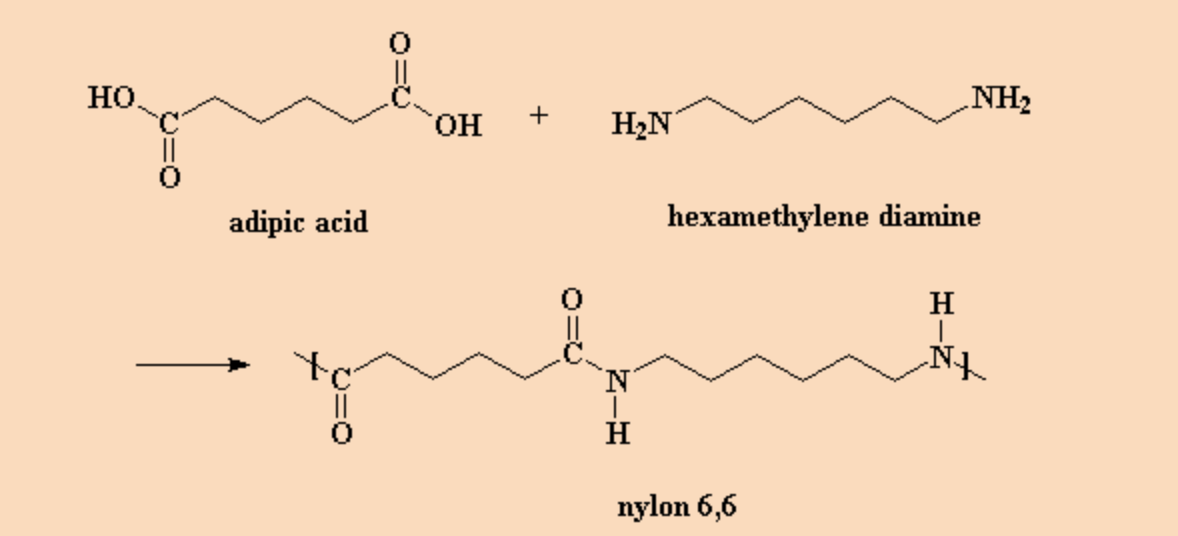 HO
adipic acid
+
OH
H₂N
N
H
hexamethylene diamine
nylon 6,6
H
N
NH2