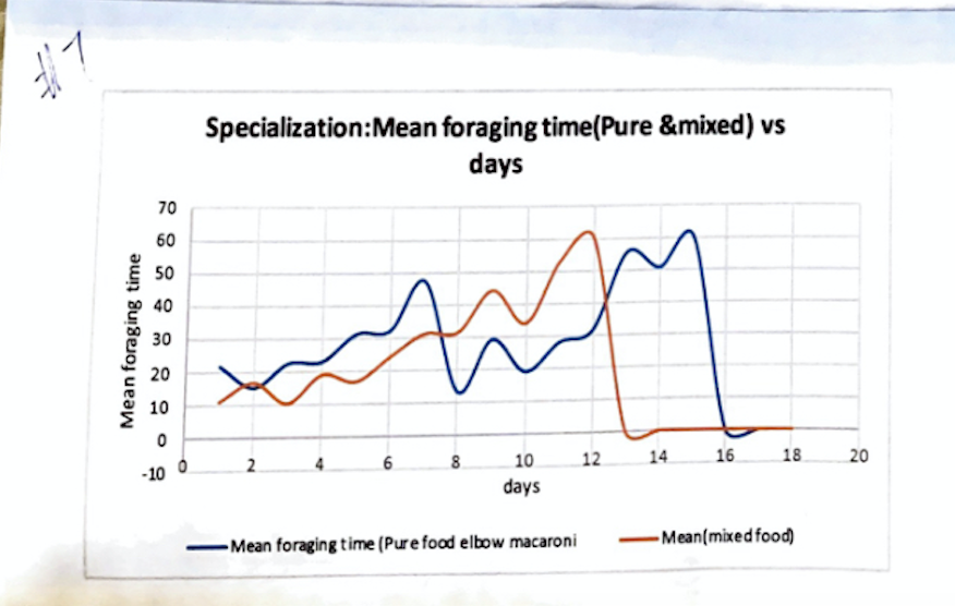 Specialization:Mean foraging time(Pure &mixed) vs
days
70
60
50
40
30
20
10
8.
10
12
14
16
18
20
2.
-10 0
days
-Mean(mixed food)
-Mean foraging time (Pure food elbow macaroni
Mean foraging time

