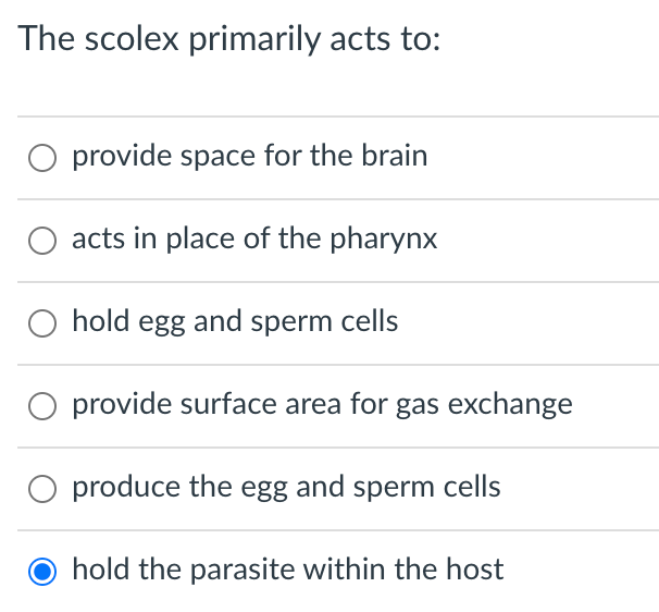 The scolex primarily acts to:
provide space for the brain
acts in place of the pharynx
O hold egg and sperm cells
O provide surface area for gas exchange
produce the egg and sperm cells
hold the parasite within the host
