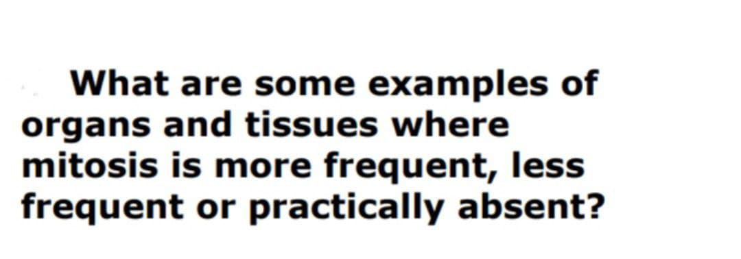 What are some examples of
organs and tissues where
mitosis is more frequent, less
frequent or practically absent?
