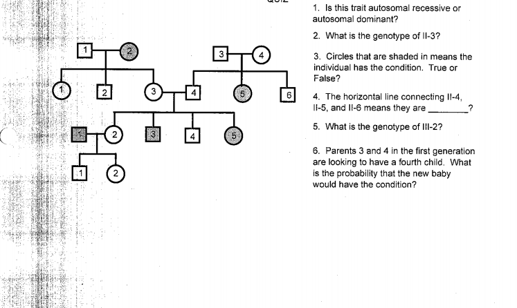 1. Is this trait autosomal recessive or
autosomal dominant?
2. What is the genotype of II-3?
3. Circles that are shaded in means the
individual has the condition. True or
False?
6
4. The horizontal line connecting Il-4,
I-5, and Il-6 means they are
5. What is the genotype of III-2?
4
6. Parents 3 and 4 in the first generation
are looking to have a fourth child. What
is the probability that the new baby
would have the condition?
