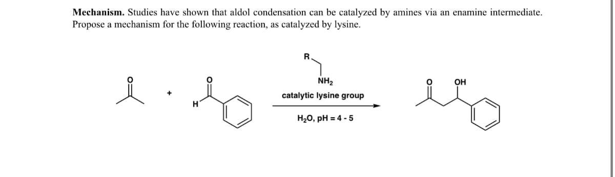 Mechanism. Studies have shown that aldol condensation can be catalyzed by amines via an enamine intermediate.
Propose a mechanism for the following reaction, as catalyzed by lysine.
R
NH2
OH
catalytic lysine group
H20, pH = 4 - 5
