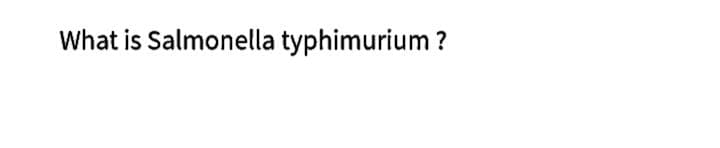 What is Salmonella typhimurium ?
