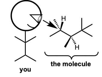 the molecule
you
...
I.
