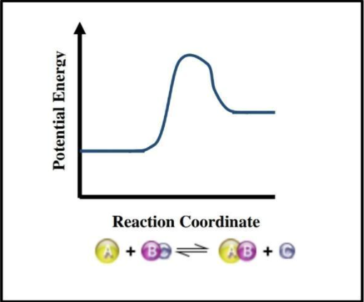 Reaction Coordinate
+ BD
B+
Potential Energy

