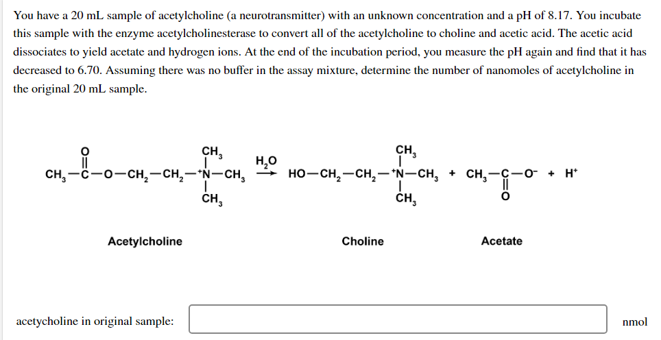 You have a 20 mL sample of acetylcholine (a neurotransmitter) with an unknown concentration and a pH of 8.17. You incubate
this sample with the enzyme acetylcholinesterase to convert all of the acetylcholine to choline and acetic acid. The acetic acid
dissociates to yield acetate and hydrogen ions. At the end of the incubation period, you measure the pH again and find that it has
decreased to 6.70. Assuming there was no buffer in the assay mixture, determine the number of nanomoles of acetylcholine in
the original 20 mL sample.
-Å-—•-
CH,—C−O−CH,—CH,—*N–CH,
Acetylcholine
CH₂
acetycholine in original sample:
CH₂
H₂O
CH₂
I
HO–CH,—CH,—*N–CH, + CH
Choline
CH₂
CHO
Acetate
H*
nmol
