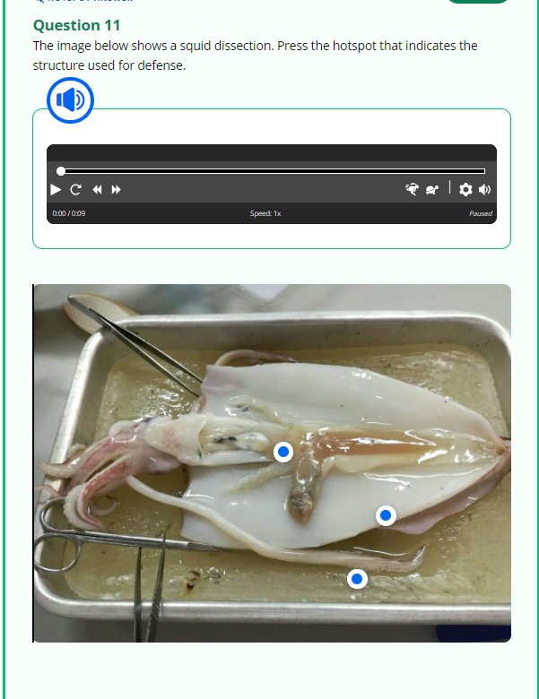 Question 11
The image below shows a squid dissection. Press the hotspot that indicates the
structure used for defense.
C «»
0:00/0:09
Speed: 1x
O
| ✿ 0
Paused