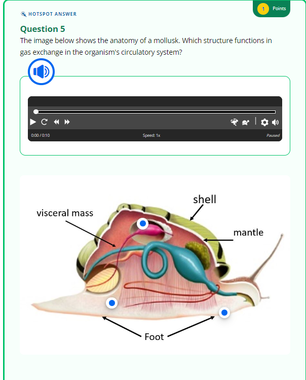 HOTSPOT ANSWER
Question 5
The image below shows the anatomy of a mollusk. Which structure functions in
gas exchange in the organism's circulatory system?
CO
C «»
0:00/0:10
visceral mass
Speed: 1x
Foot
shell
Points
�2|00
mantle
Paused