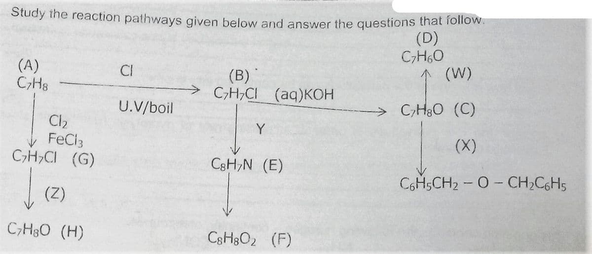 Study the reaction pathways given below and answer the questions that follow.
(D)
CH,0
(W)
(A)
CI
(B)
C;H,CI (aq)KOH
U.V/boil
C;H3O (C)
Cl2
Y
(X)
FeCi3
C,H,CI (G)
CgH,N (E)
C6H5CH2 - 0- CH,C6H5
(Z)
C,H3O (H)
C3H3O2 (F)
