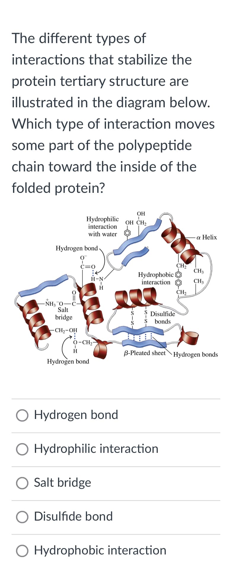 The different types of
interactions that stabilize the
protein tertiary structure are
illustrated in the diagram below.
Which type of interaction moves
some part of the polypeptide
chain toward the inside of the
folded protein?
OH
Hydrophilic OH CH₂
interaction
with water
Hydrogen bond
-NH₂3-0- C
Salt
bridge
-CH₂-OH
C=0
H-N
H
0-CH,-
I
H
Hydrogen bond
Salt bridge
O Disulfide bond
222
-SIS
Hydrophobic
interaction
200
O Hydrogen bond
O Hydrophilic interaction
Disulfide
bonds
B-Pleated sheet
O Hydrophobic interaction
CH₂
CH₂
a Helix
CH3
CH3
Hydrogen bonds