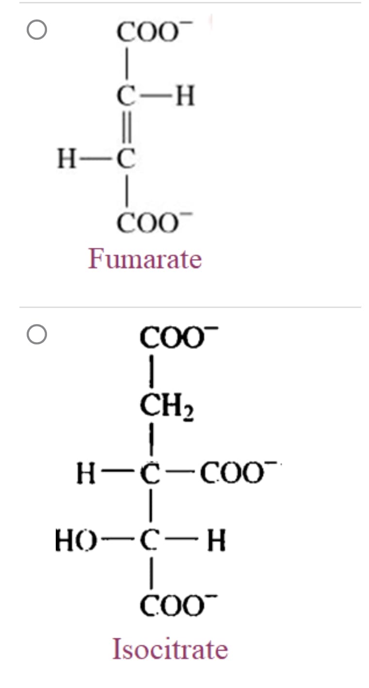 O
O
COO™
|
C-H
H-C
COO™
Fumarate
COO™
1
CH₂
H-C-COO™
HO-C-H
|
COO™
Isocitrate