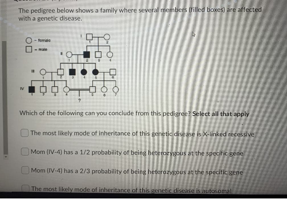 The pedigree below shows a family where several members (filled boxes) are affected
with a genetic disease.
- female
- male
4
IV
16
Which of the following can you conclude from this pedigree? Select all that apply
The most likely mode of inheritance of this genetic disease is X-linked recessive
Mom (IV-4) has a 1/2 probability of being heterozygous at the specific gene
Mom (IV-4) has a 2/3 probability of being heterozygous at the specific gene
The most likely mode of inheritance of this genetic disease is autosomal
