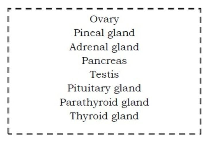 Ovary
Pineal gland
Adrenal gland
Pancreas
Testis
Pituitary gland
Parathyroid gland
Thyroid gland