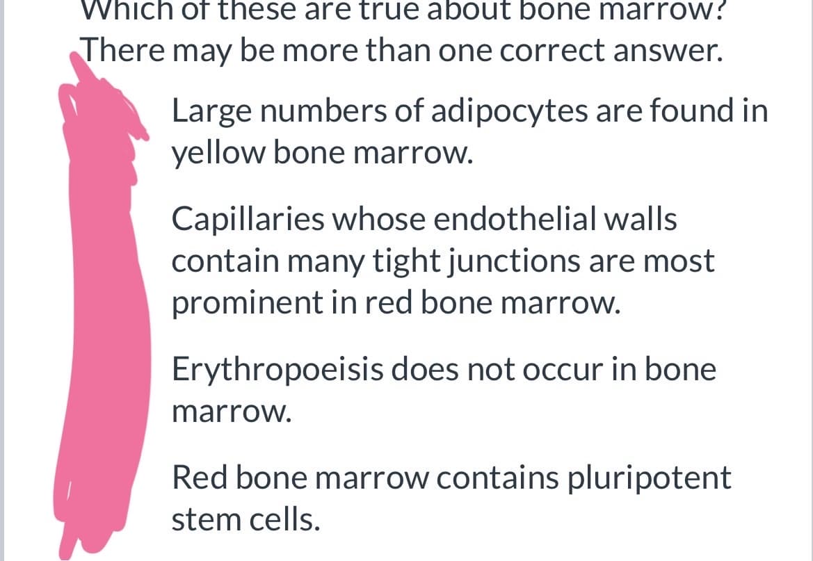 Which of these are true about bone marrow?
There may be more than one correct answer.
Large numbers of adipocytes are found in
yellow bone marrow.
Capillaries whose endothelial walls
contain many tight junctions are most
prominent in red bone marrow.
Erythropoeisis does not occur in bone
marrow.
Red bone marrow contains pluripotent
stem cells.