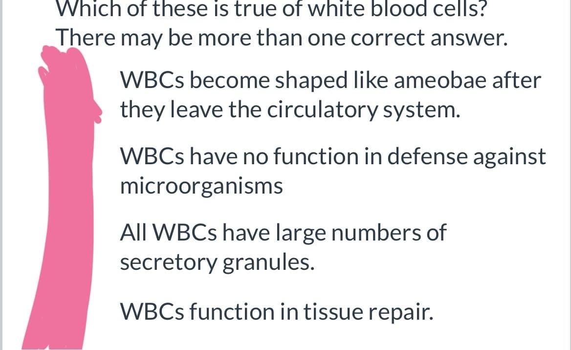 Which of these is true of white blood cells?
There may be more than one correct answer.
WBCs become shaped like ameobae after
they leave the circulatory system.
WBCs have no function in defense against
microorganisms
All WBCs have large numbers of
secretory granules.
WBCs function in tissue repair.
