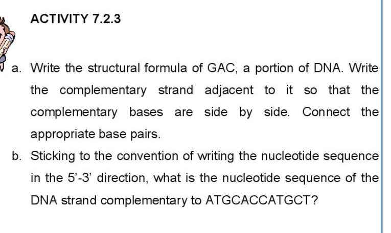 ACTIVITY 7.2.3
Ja. Write the structural formula of GAC, a portion of DNA. Write
the complementary strand adjacent to it so that the
complementary bases are side by side. Connect the
appropriate base pairs.
b. Sticking to the convention of writing the nucleotide sequence
in the 5'-3' direction, what is the nucleotide sequence of the
DNA strand complementary to ATGCACCATGCT?
