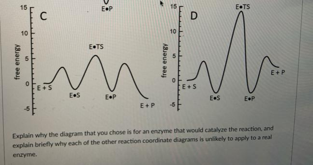 15
E•P
15
E•TS
10
10
E•TS
E+P
E+S
E+S
E•S
E•P
E•S
E•P
E+P
-5
-5
Explain why the diagram that you chose is for an enzyme that would catalyze the reaction, and
explain briefly why each of the other reaction coordinate diagrams is unlikely to apply to a real
enzyme.
