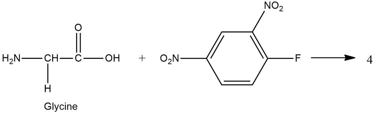 NO2
H2N –CH- C-OH
+
O,N-
F
4
H
Glycine
