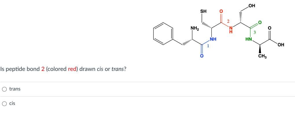 Is peptide bond 2 (colored red) drawn cis or trans?
O trans
O cis
NH₂
SH
NH
1
01
OH
HN
CH3
OH