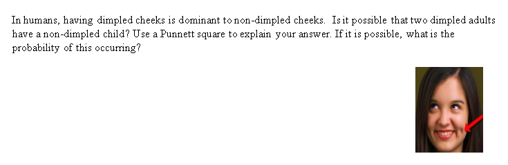 In humans, having dimpled cheeks is dominant to non-dimpled cheeks. Is it possible that two dimpled adults
have a non-dimpled child? Use a Punnett square to explain your answer. If it is possible, what is the
probability of this occurring?
